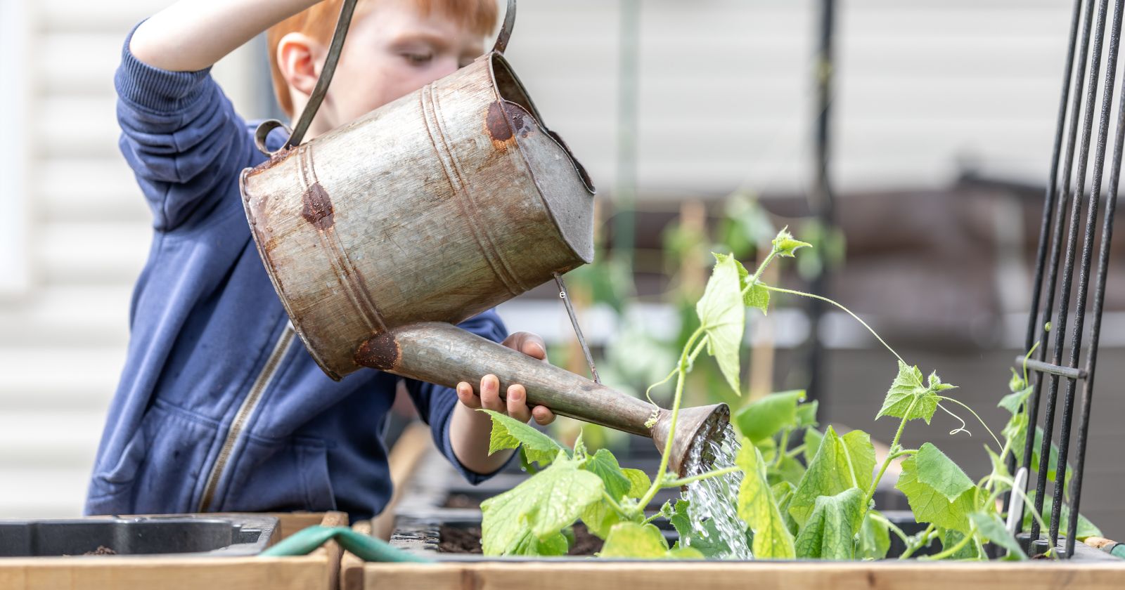 como cuidar el medio ambiente para niños