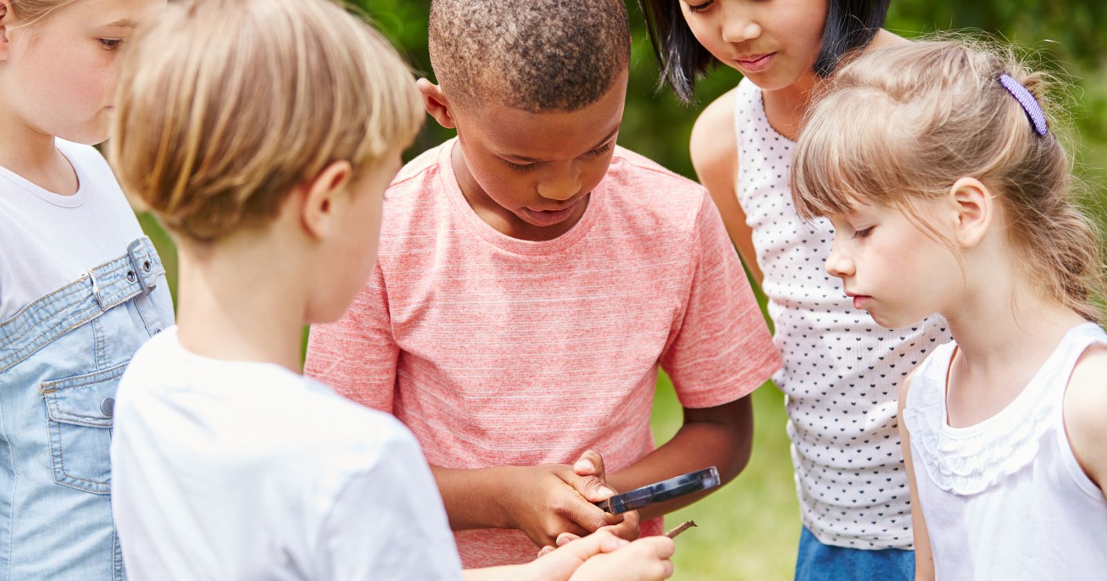 desarrollo cognitivo del niño